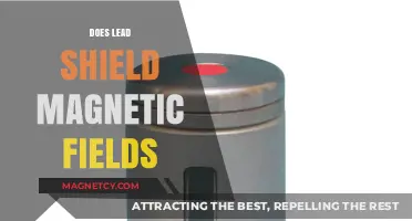 Exploring the Myths: Can Lead Really Shield Magnetic Fields?