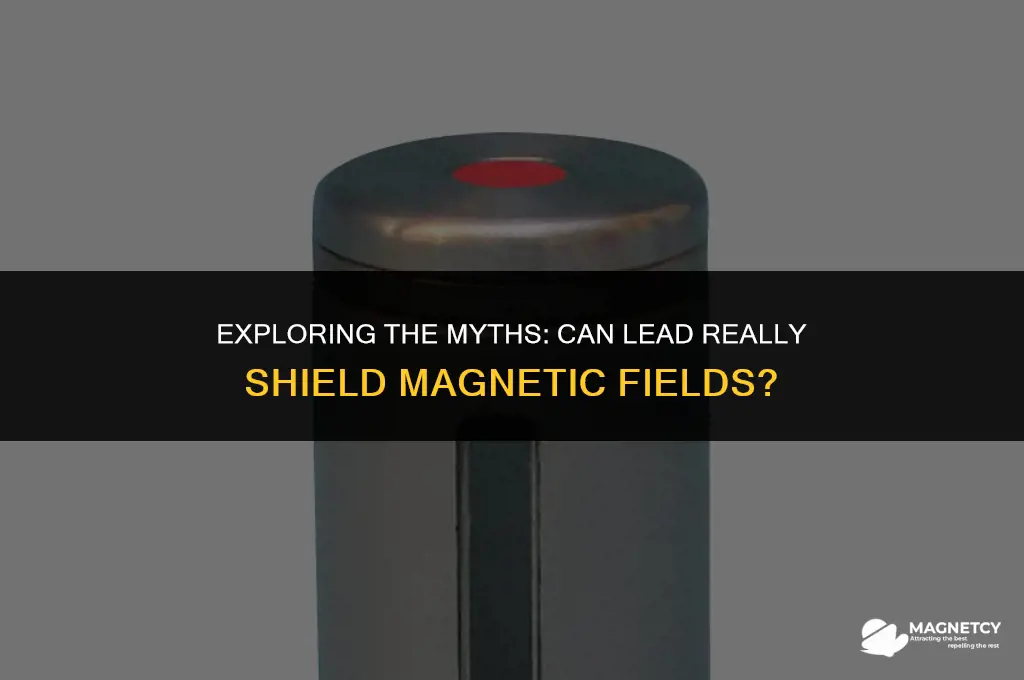 does lead shield magnetic fields