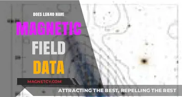 Exploring the LGK40: Unveiling Magnetic Field Data Capabilities