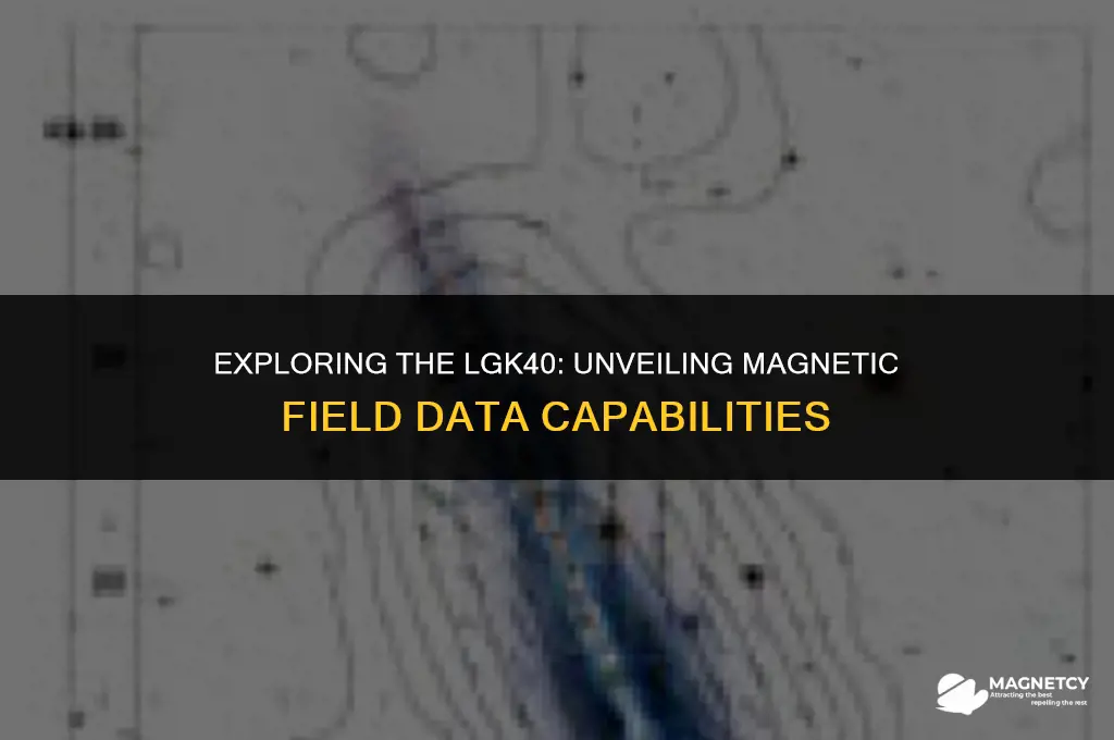 does lgk40 have magnetic field data