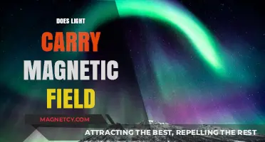 Exploring the Intriguing Relationship Between Light and Magnetic Fields