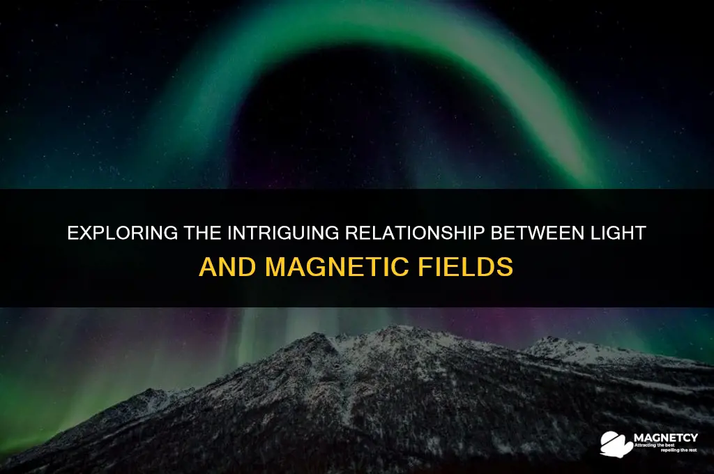 does light carry magnetic field