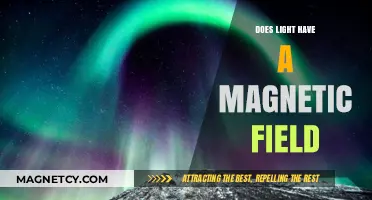 Unveiling the Truth: Does Light Harbor a Magnetic Field?