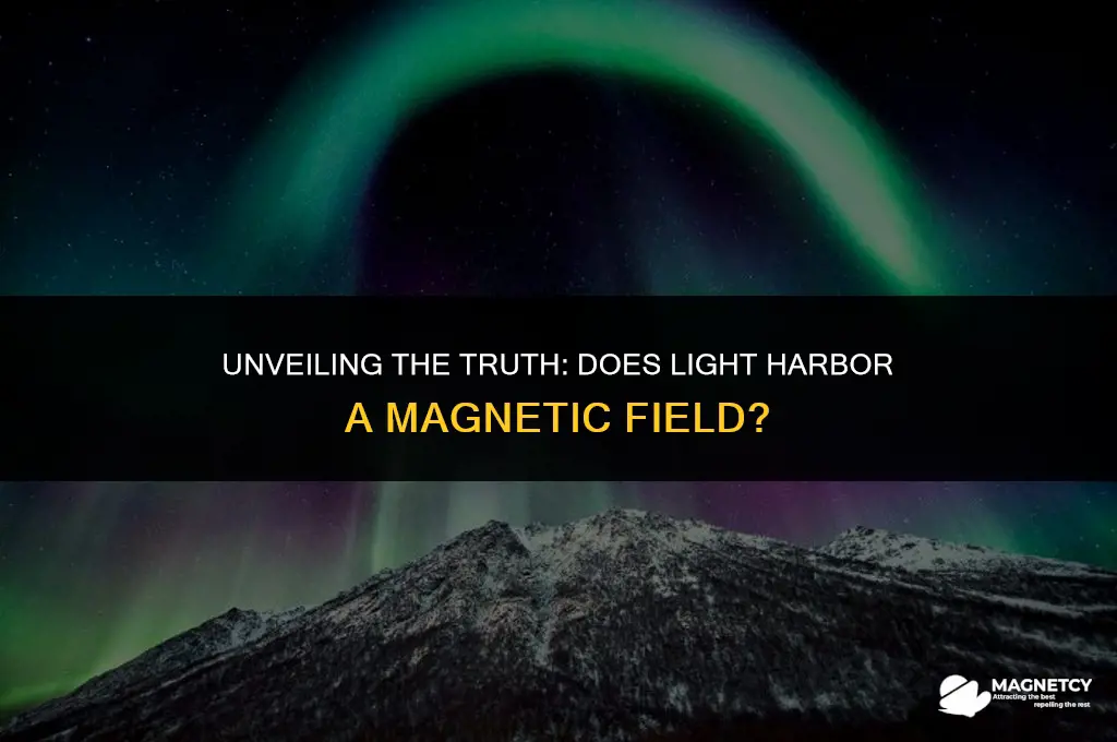 does light have a magnetic field