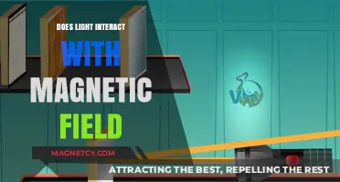 Exploring the Intriguing Relationship Between Light and Magnetic Fields