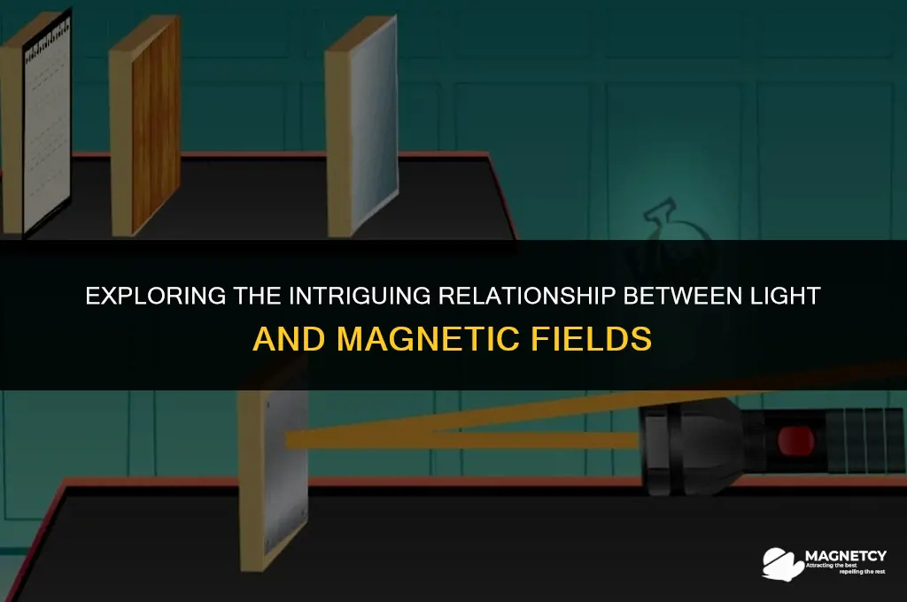 does light interact with magnetic field