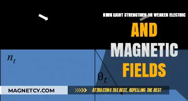 Illuminating the Impact: Light's Influence on Electric and Magnetic Fields