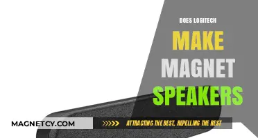 Exploring Logitech's Speaker Lineup: Are Magnet Speakers Included?