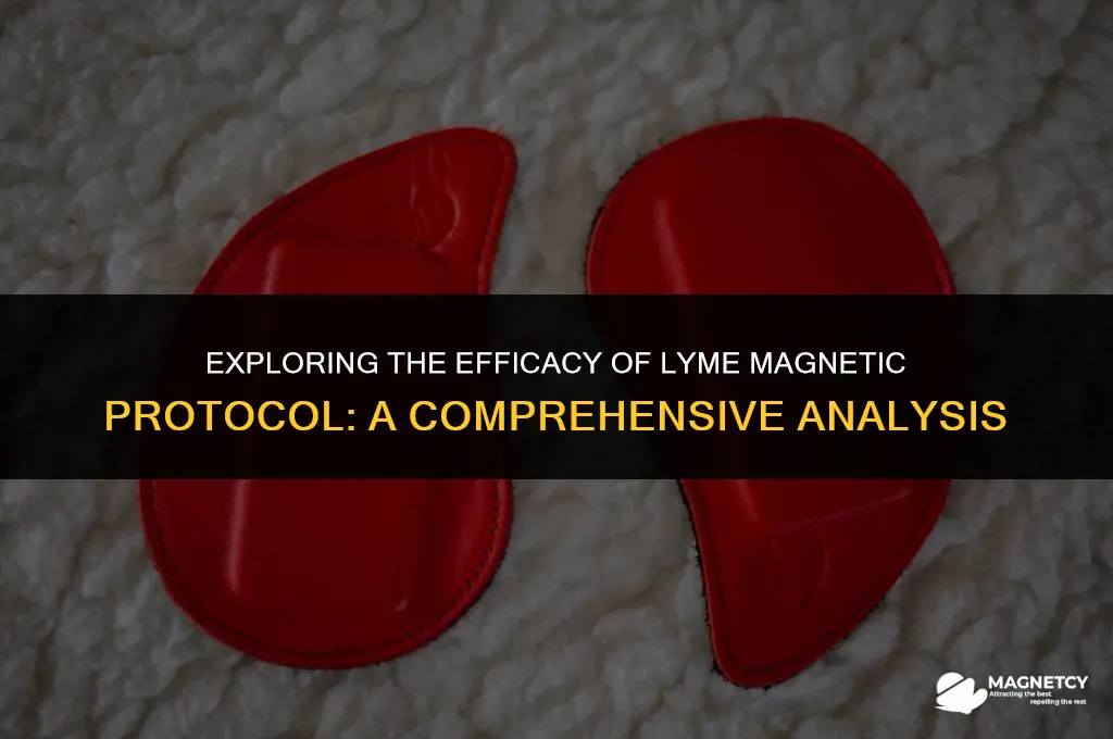 does lyme magnetic protocal work