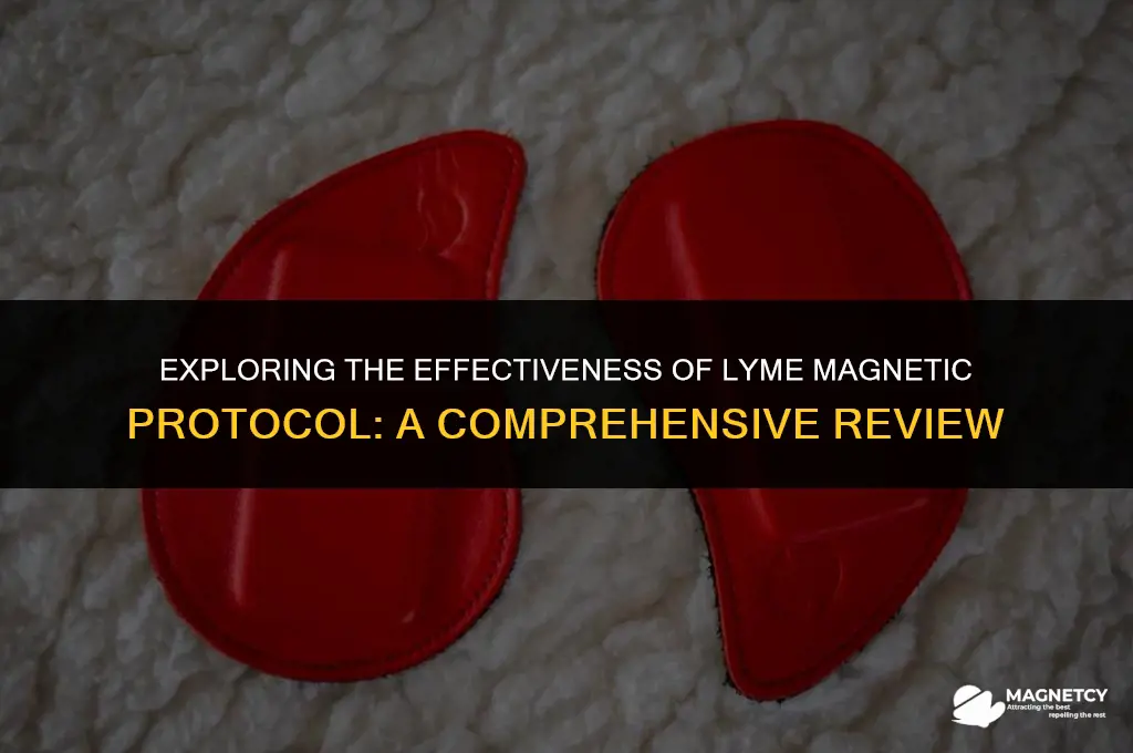 does lyme magnetic protocol work