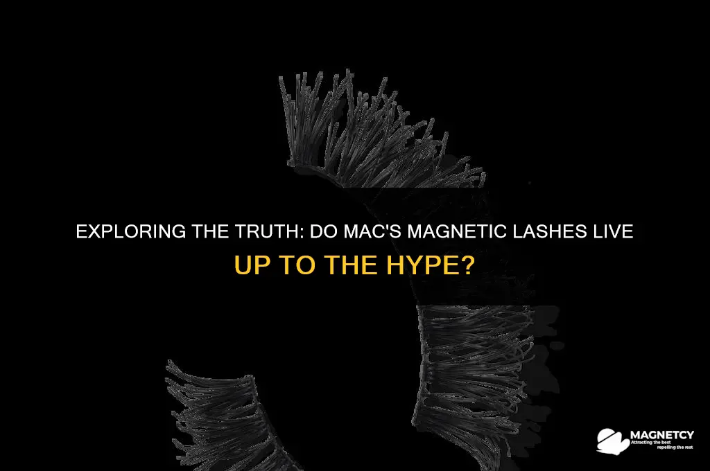 does mac make magnetic lashes
