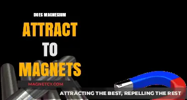 Does Magnesium Attract Magnets? Unveiling the Magnetic Properties of Magnesium