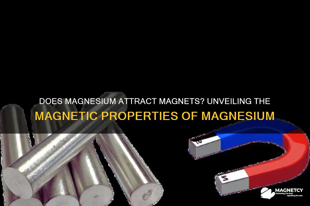 does magnesium attract to magnets