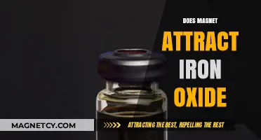 Magnetism Unveiled: Does Iron Oxide Respond to Magnetic Attraction?