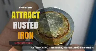 Can Magnets Attract Rusted Iron? Exploring Magnetic Properties and Oxidation
