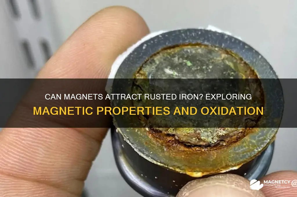 does magnet attract rusted iron