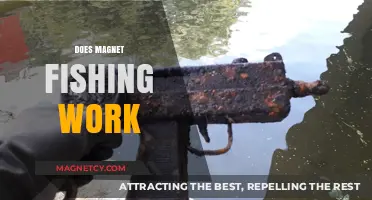 Unveiling the Truth: Magnet Fishing - Effective or Just a Myth?