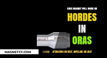 Unlocking the Mystery: Magnet Pull's Efficacy on ORAS Hordes