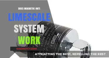 Exploring the Efficacy of Magnetic Anti-Limescale Systems