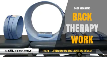 Exploring the Effectiveness of Magnetic Back Therapy: A Comprehensive Review