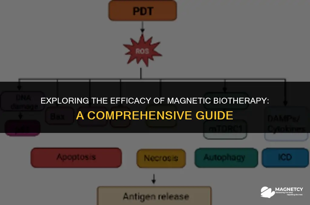 does magnetic biotherapy work