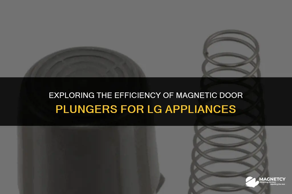 does magnetic door plunger work lg