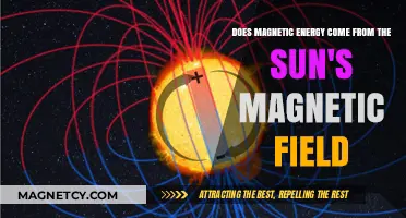 Unveiling the Solar Source of Magnetic Energy: A Deep Dive