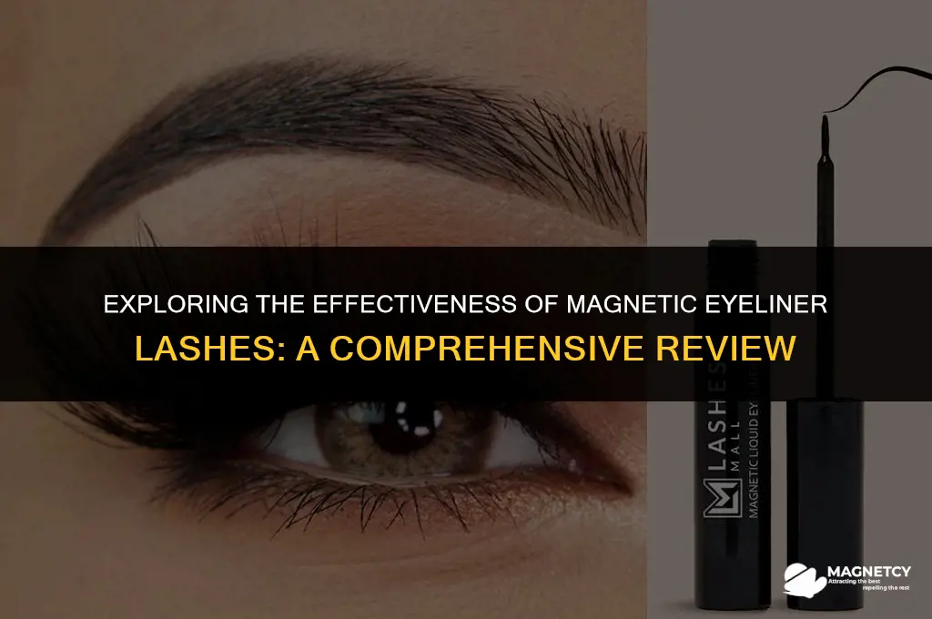 does magnetic eye liner lash work