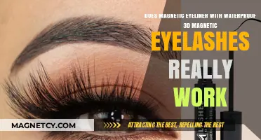 Exploring the Effectiveness of Magnetic Eyeliner and Waterproof 3D Lashes