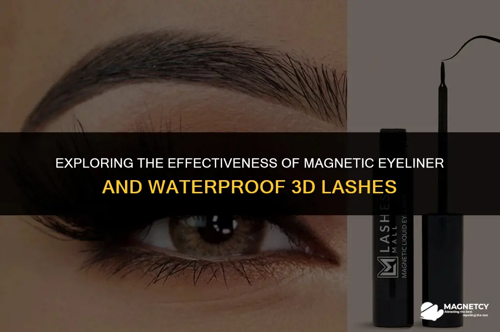 does magnetic eyeliner with waterproof 3d magnetic eyelashes really work