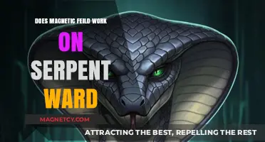 Exploring the Interaction: Magnetic Fields and Serpent Wards
