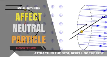 Exploring the Influence of Magnetic Fields on Neutral Particles
