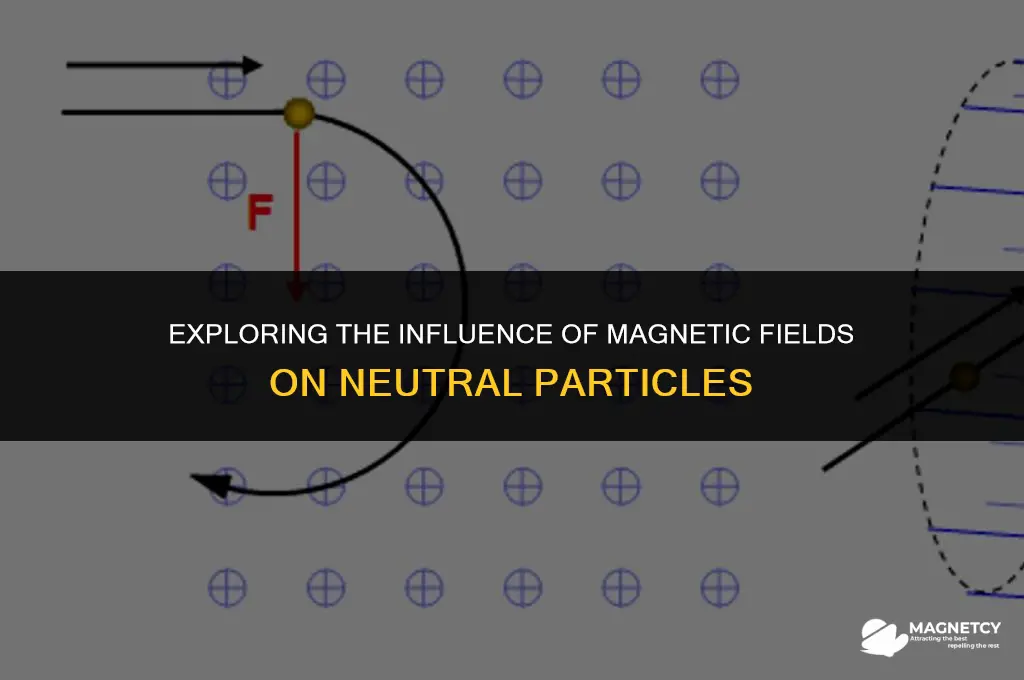 does magnetic field affect neutral particle