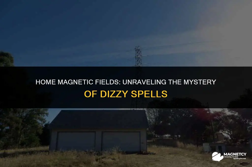 does magnetic field at home make you dizzy