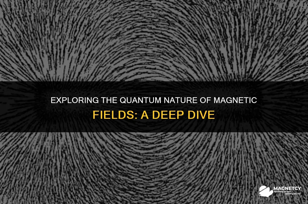 does magnetic field consist of quanta