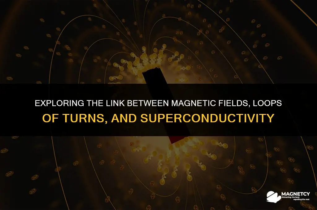 does magnetic field depend on loops of turns superconductivity