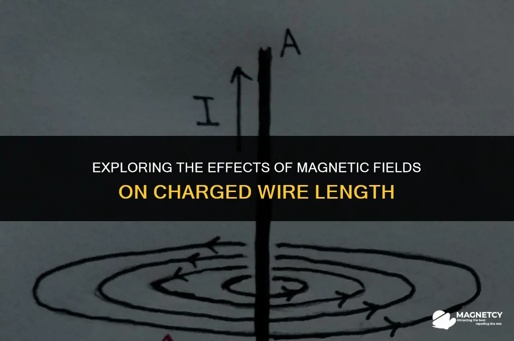 does magnetic field directoin charge wire gets shorter