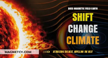 Exploring the Impact of Earth's Magnetic Field Shifts on Climate Change