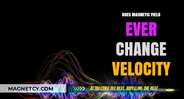Exploring the Dynamics: Can Magnetic Fields Alter Velocity?