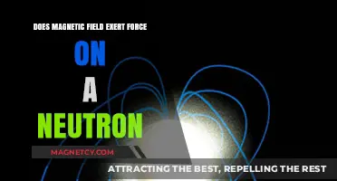 Exploring the Interaction: Magnetic Fields and Neutrons