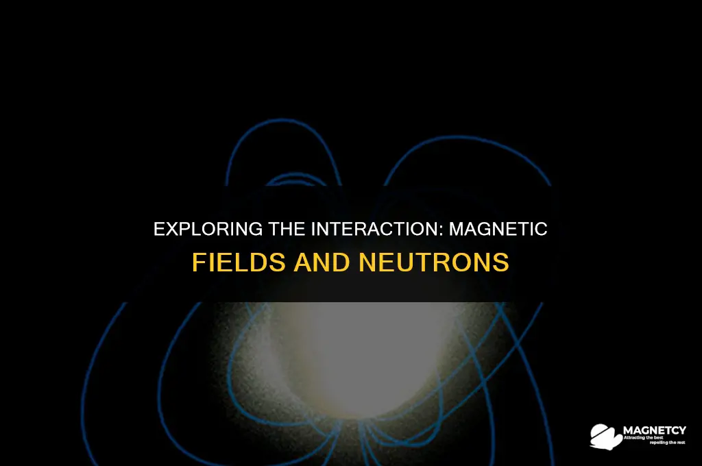 does magnetic field exert force on a neutron