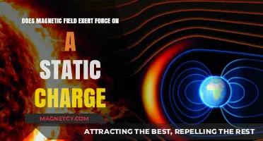 Exploring the Interaction Between Magnetic Fields and Static Charges