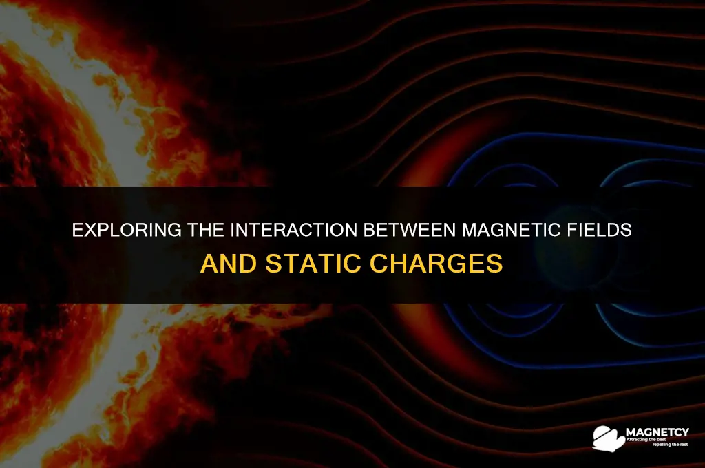 does magnetic field exert force on a static charge