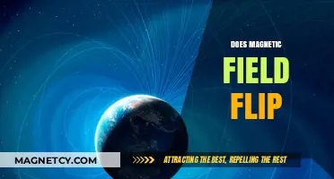 Exploring the Dynamics of Earth's Magnetic Field Reversals