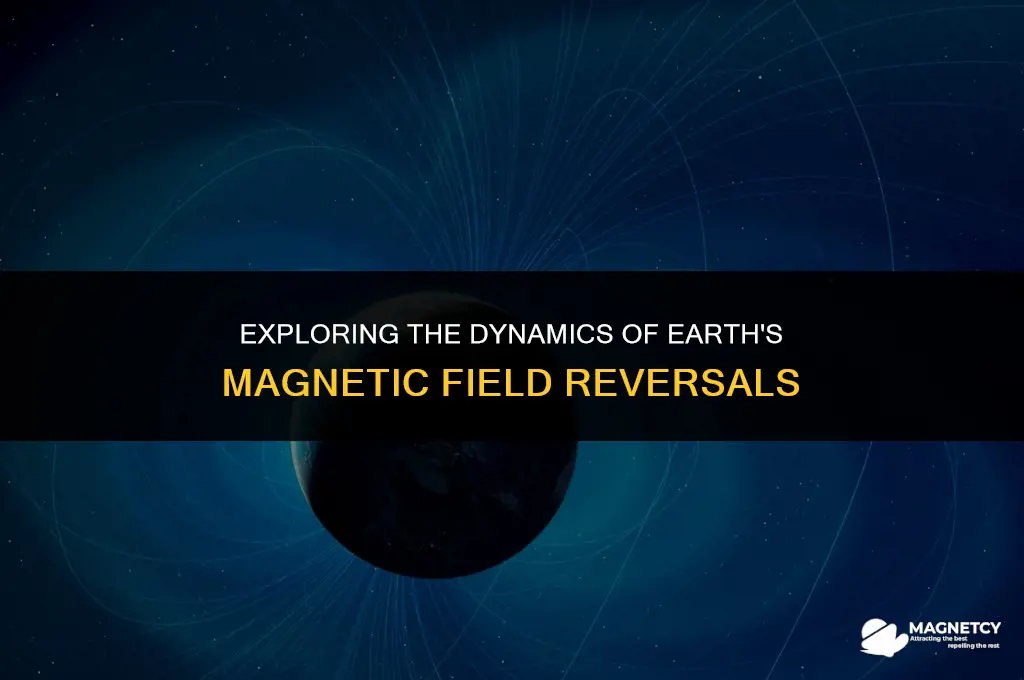 does magnetic field flip