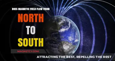 Exploring Magnetism: The Journey from North to South Pole