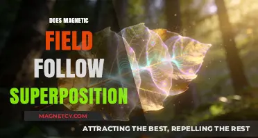 Exploring the Superposition Principle in Magnetic Fields: A Comprehensive Guide