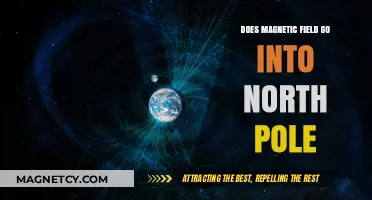 Exploring Earth's Magnetism: Does the Field Enter the North Pole?