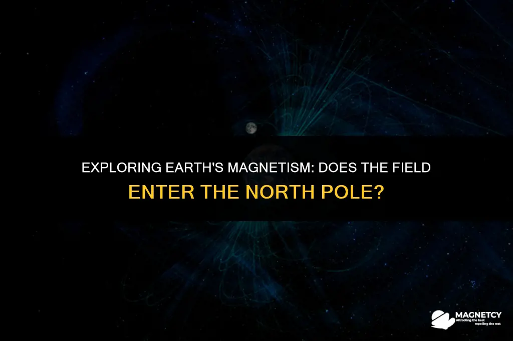 does magnetic field go into north pole