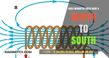 Exploring Magnetism: The Intriguing Journey from North to South
